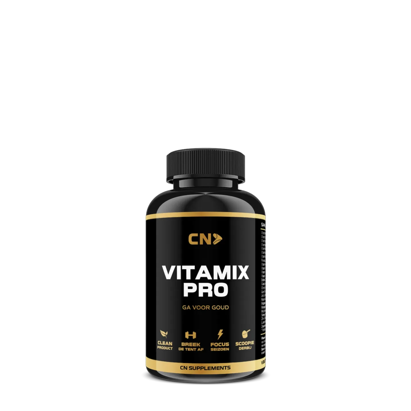 Vitamix Pro