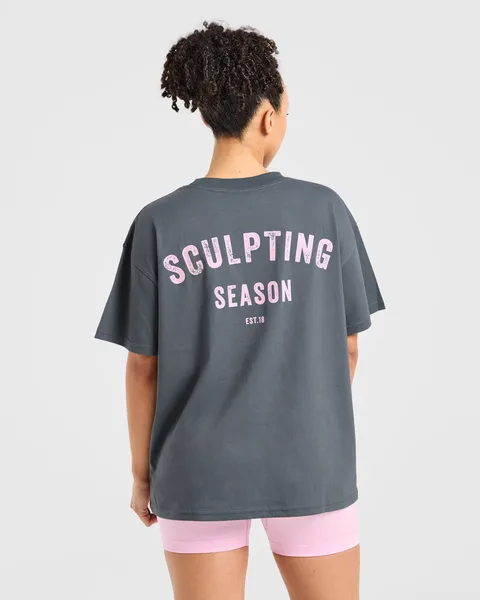 Sculpting Season Oversized T Shirt Grijs/Roze