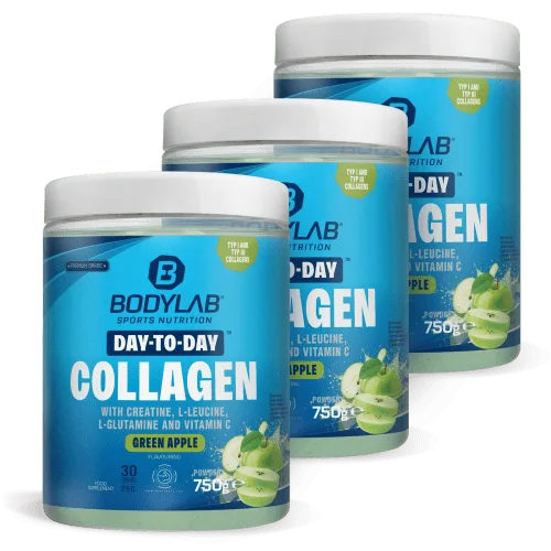 Day to Day Collagen