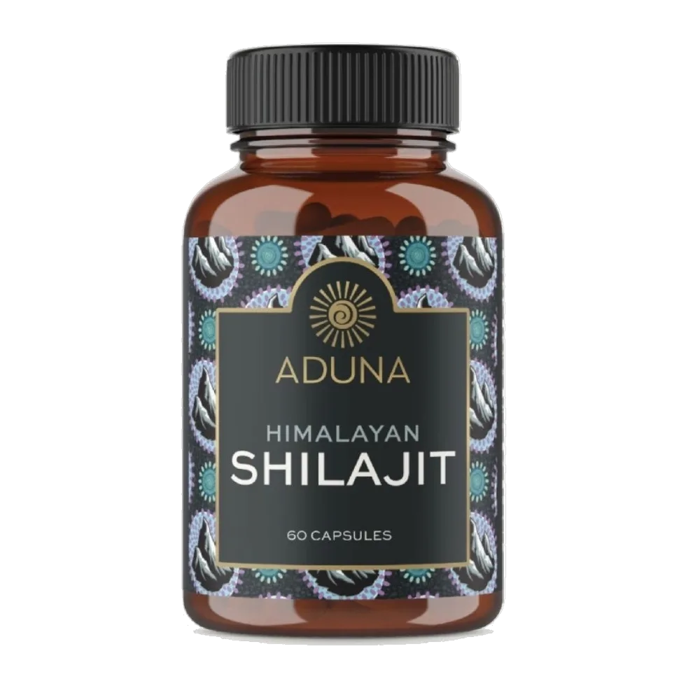 Shilajit 500mg