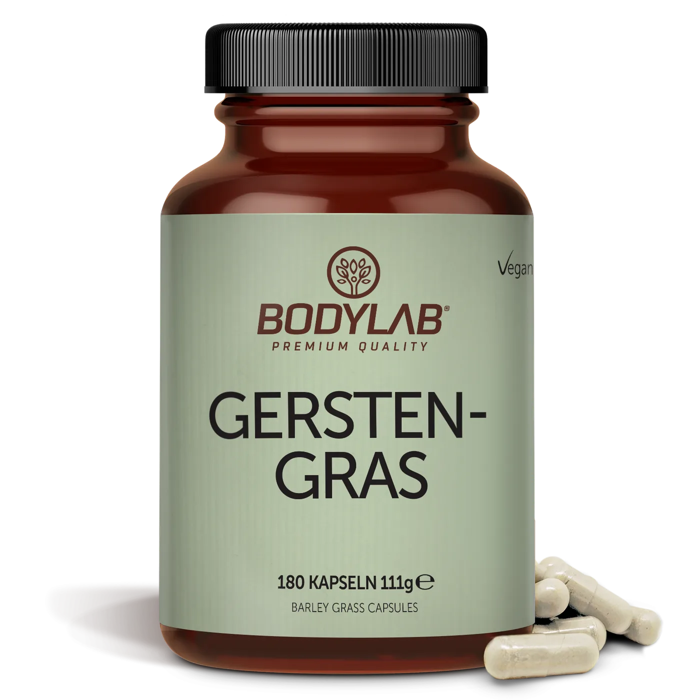 Gerstengras