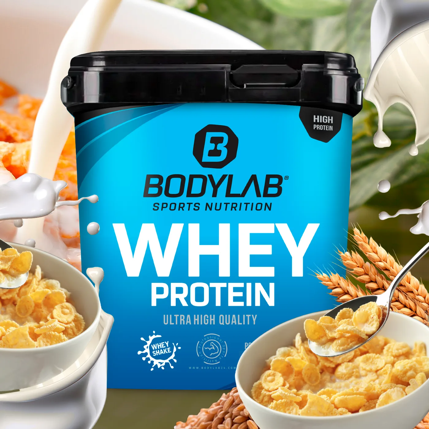 Whey Protein