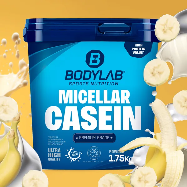 Casein Micellar