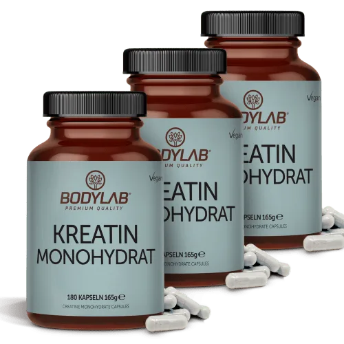 Kreatin Monohydrat 3 x