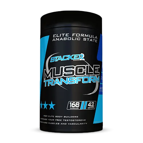 Muscle Transform